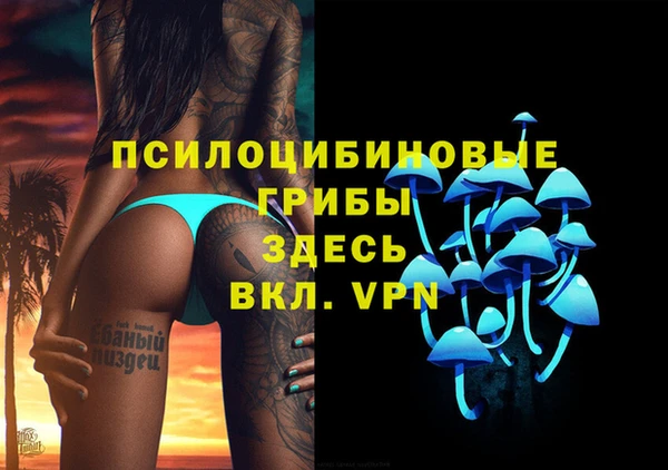 амф Нея