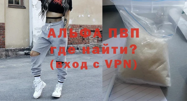 стаф Новокубанск