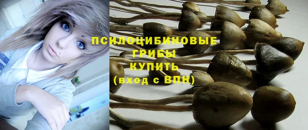 метадон Новодвинск