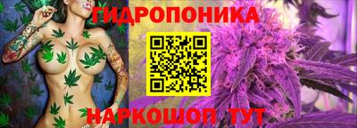 прущие грибы Абинск