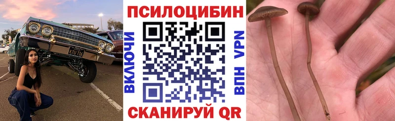 Галлюциногенные грибы мухоморы  Алушта 